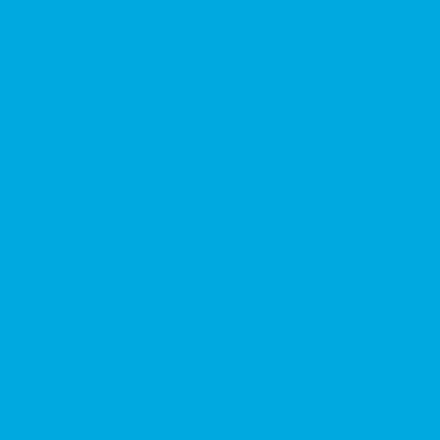 Bright Blue - 2995C (1577) Thumbnail